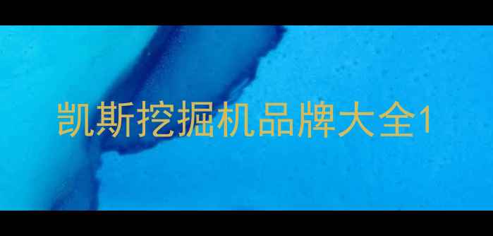 图片 凯斯挖掘机品牌大全1