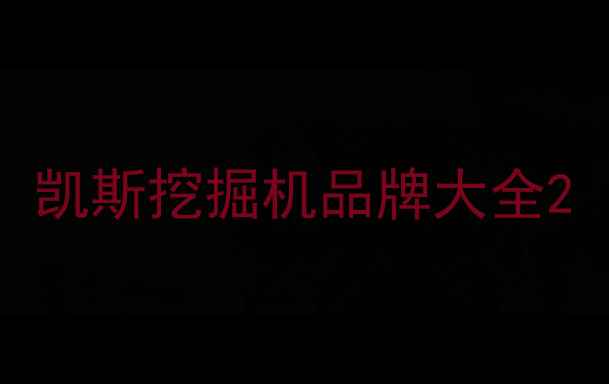 图片 凯斯挖掘机品牌大全2