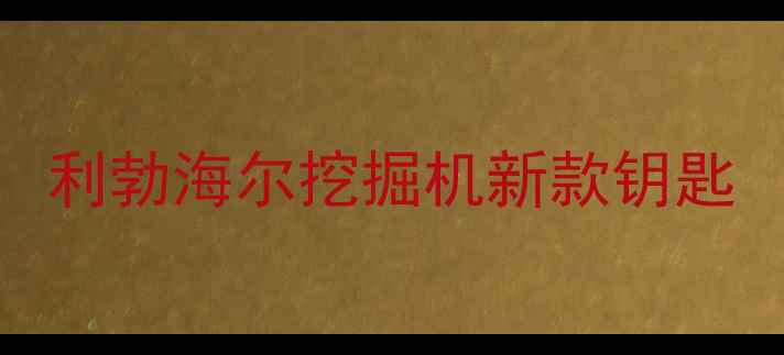 图片 利勃海尔挖掘机新款钥匙