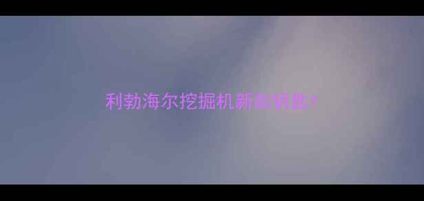 图片 利勃海尔挖掘机新款钥匙1