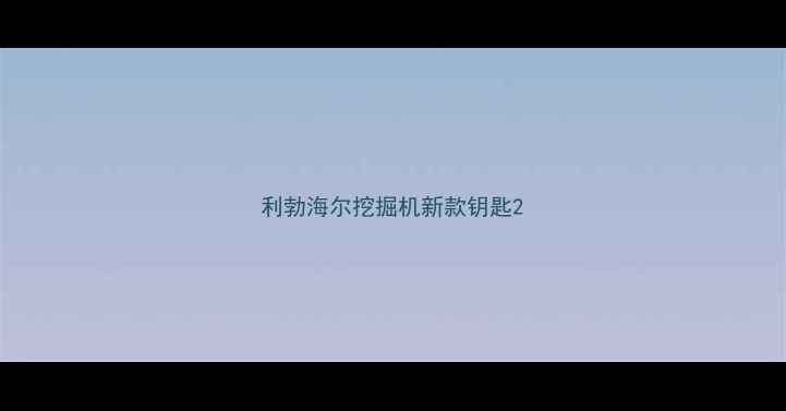 图片 利勃海尔挖掘机新款钥匙2