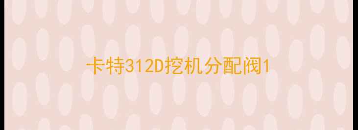 图片 卡特312D挖机分配阀1