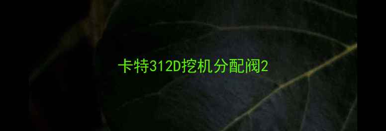 图片 卡特312D挖机分配阀2