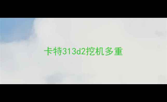 图片 卡特313d2挖机多重