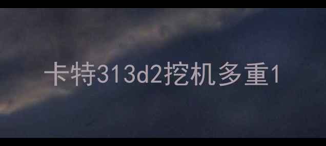 图片 卡特313d2挖机多重1