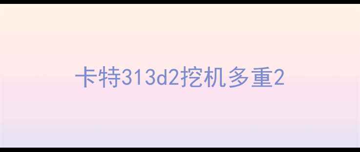 图片 卡特313d2挖机多重2
