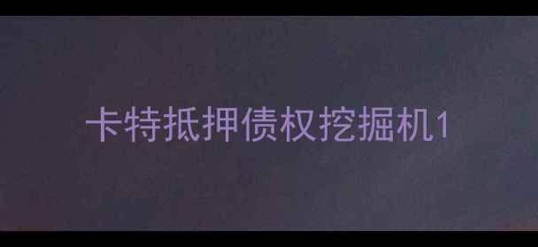 图片 卡特抵押债权挖掘机1