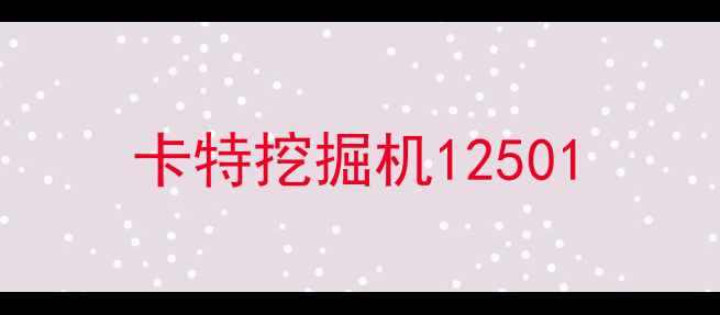 图片 卡特挖掘机12501