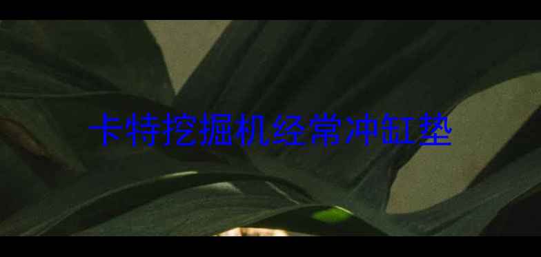 图片 卡特挖掘机经常冲缸垫