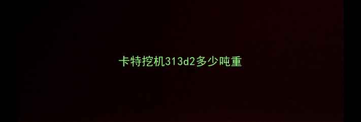 图片 卡特挖机313d2多少吨重