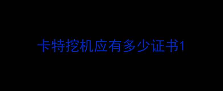 图片 卡特挖机应有多少证书1
