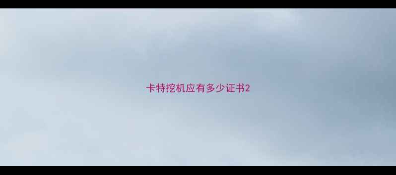 图片 卡特挖机应有多少证书2