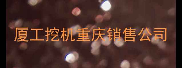 图片 厦工挖机重庆销售公司