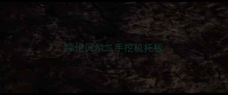图片 呼伦贝尔二手挖机托板