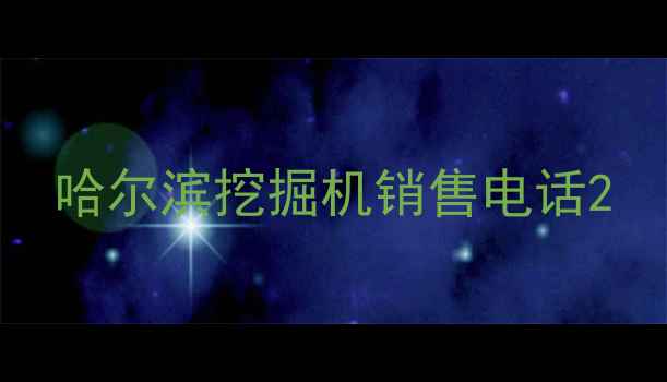 图片 哈尔滨挖掘机销售电话2