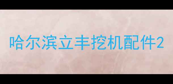 图片 哈尔滨立丰挖机配件2