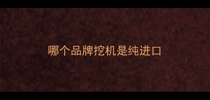 图片 哪个品牌挖机是纯进口