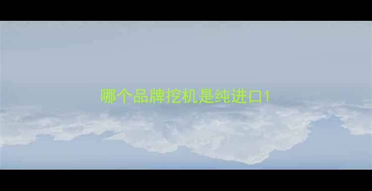 图片 哪个品牌挖机是纯进口1