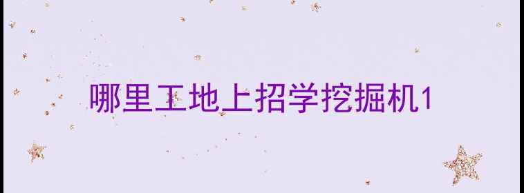 图片 哪里工地上招学挖掘机1