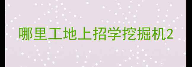 图片 哪里工地上招学挖掘机2