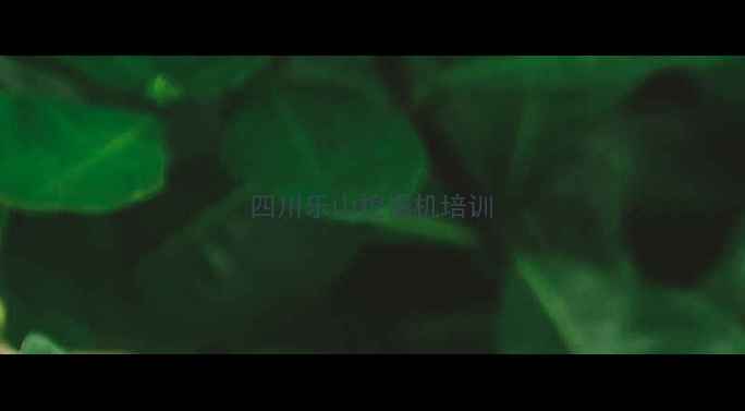 图片 四川乐山挖掘机培训