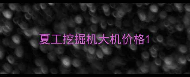 图片 夏工挖掘机大机价格1