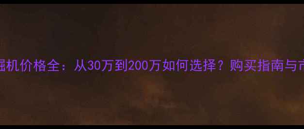 图片 大型挖掘机价格全：从30万到200万如何选择？购买指南与市场趋势