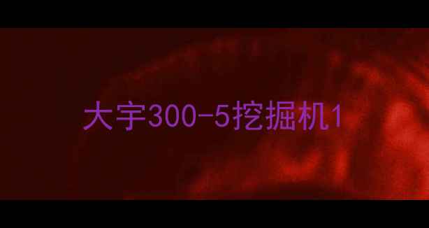 图片 大宇300-5挖掘机1