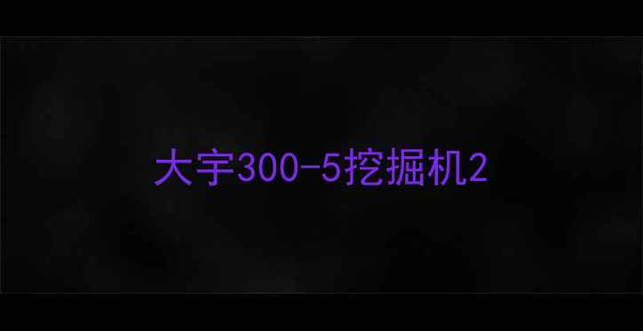 图片 大宇300-5挖掘机2