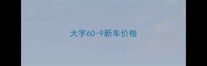 图片 大宇60-9新车价格