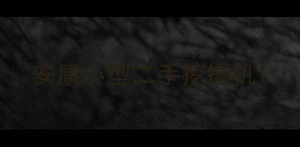 图片 安康小型二手挖掘机1