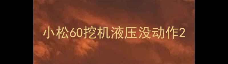 图片 小松60挖机液压没动作2
