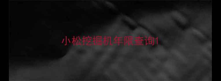 图片 小松挖掘机年限查询1