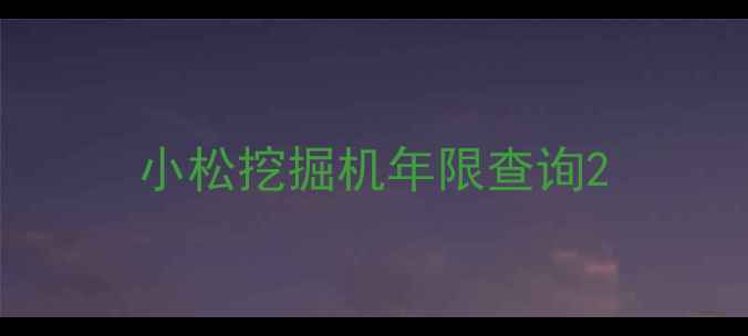 图片 小松挖掘机年限查询2