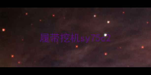 图片 履带挖机sy75c2