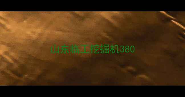 图片 山东临工挖掘机380
