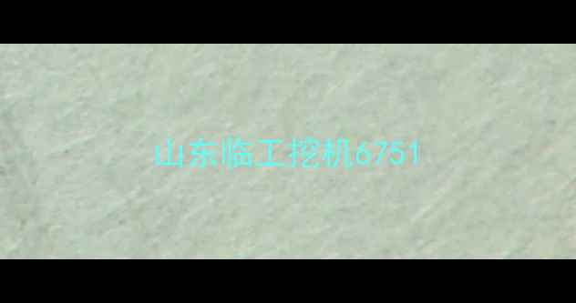 图片 山东临工挖机6751