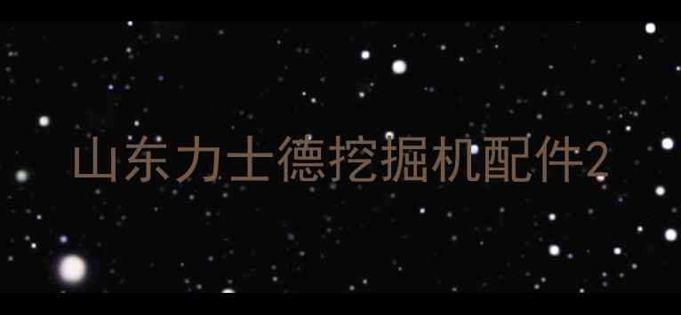 图片 山东力士德挖掘机配件2