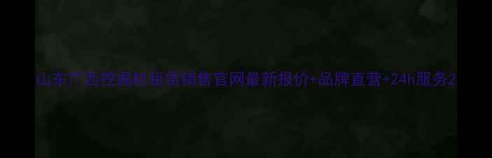 图片 山东广西挖掘机租赁销售官网最新报价+品牌直营+24h服务2