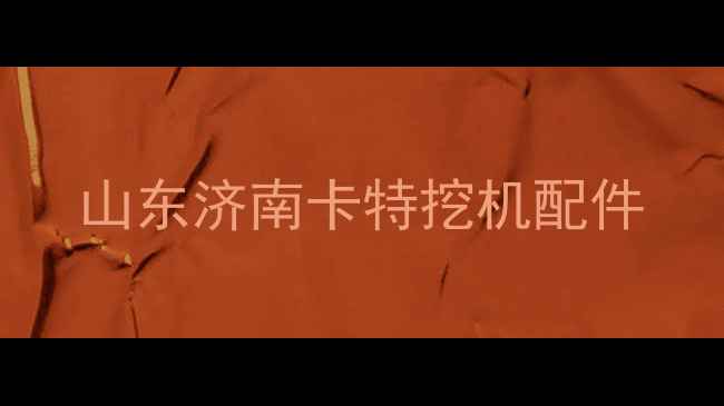 图片 山东济南卡特挖机配件