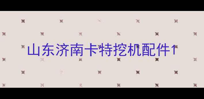 图片 山东济南卡特挖机配件1