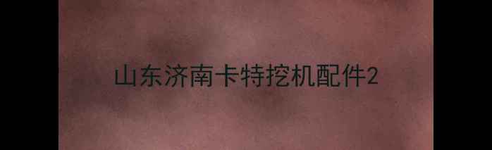 图片 山东济南卡特挖机配件2