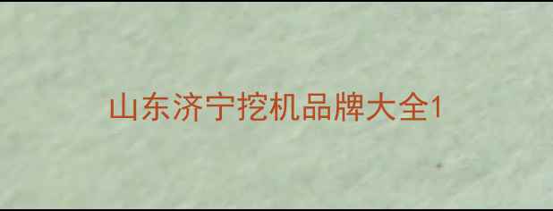 图片 山东济宁挖机品牌大全1
