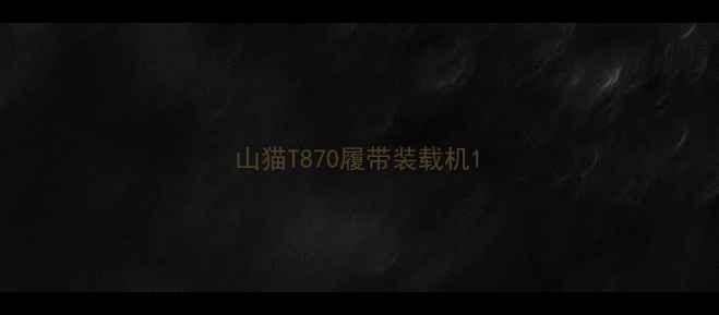 图片 山猫T870履带装载机1