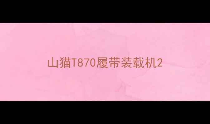 图片 山猫T870履带装载机2