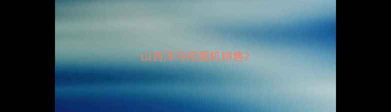 图片 山西洋马挖掘机销售2