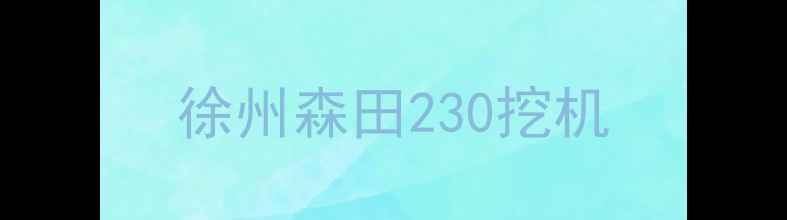 图片 徐州森田230挖机