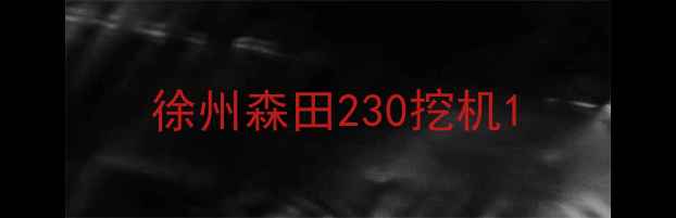 图片 徐州森田230挖机1