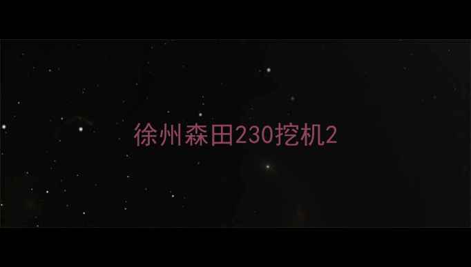 图片 徐州森田230挖机2