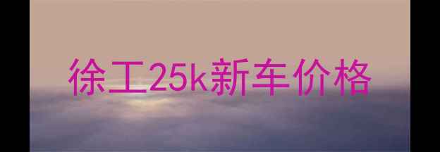 图片 徐工25k新车价格